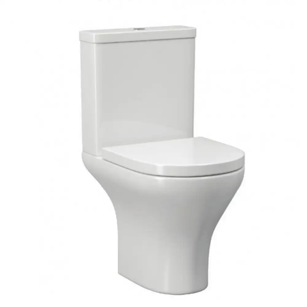 Vase de toaletă / WC