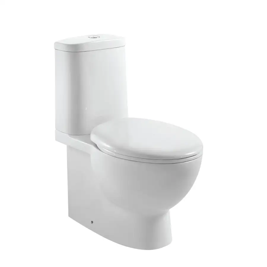 Vase de toaletă / WC