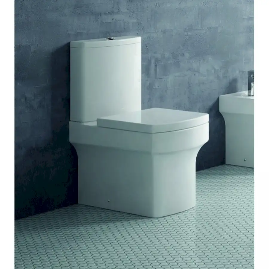 Vase de toaletă / WC