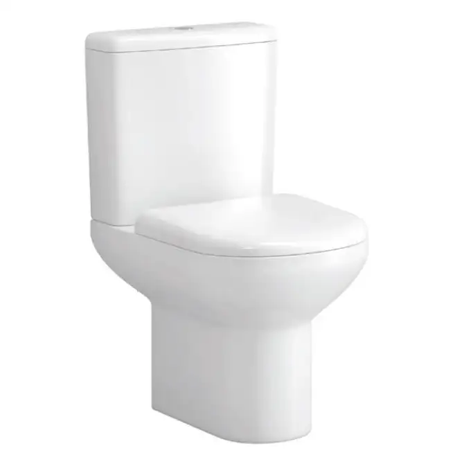 Vase de toaletă / WC