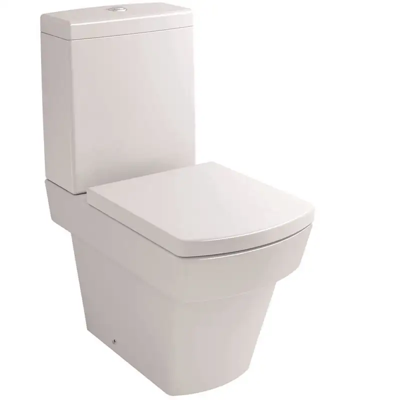 Vase de toaletă / WC