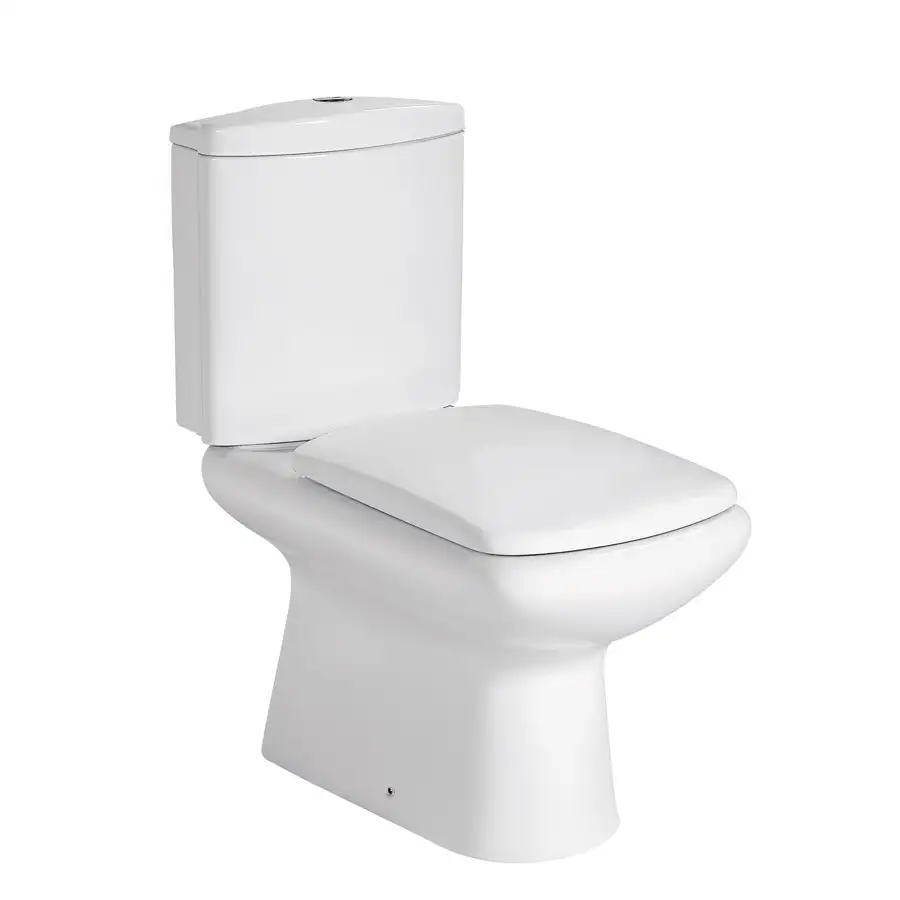 Vase de toaletă / WC