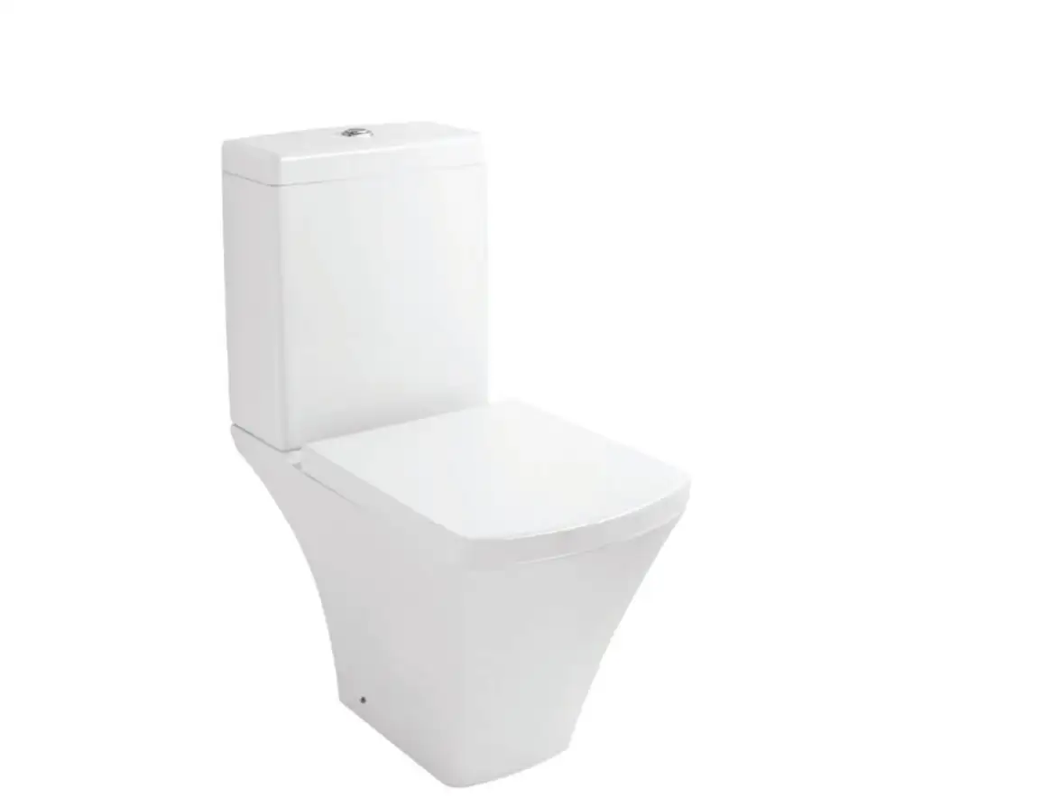 Vase de toaletă / WC