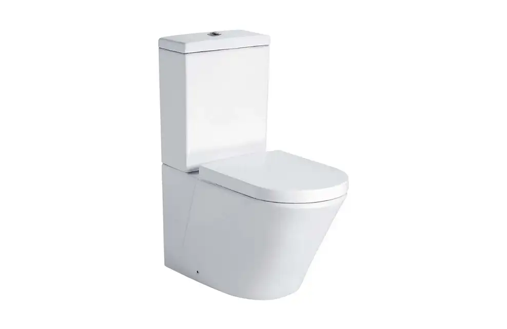 Vase de toaletă / WC