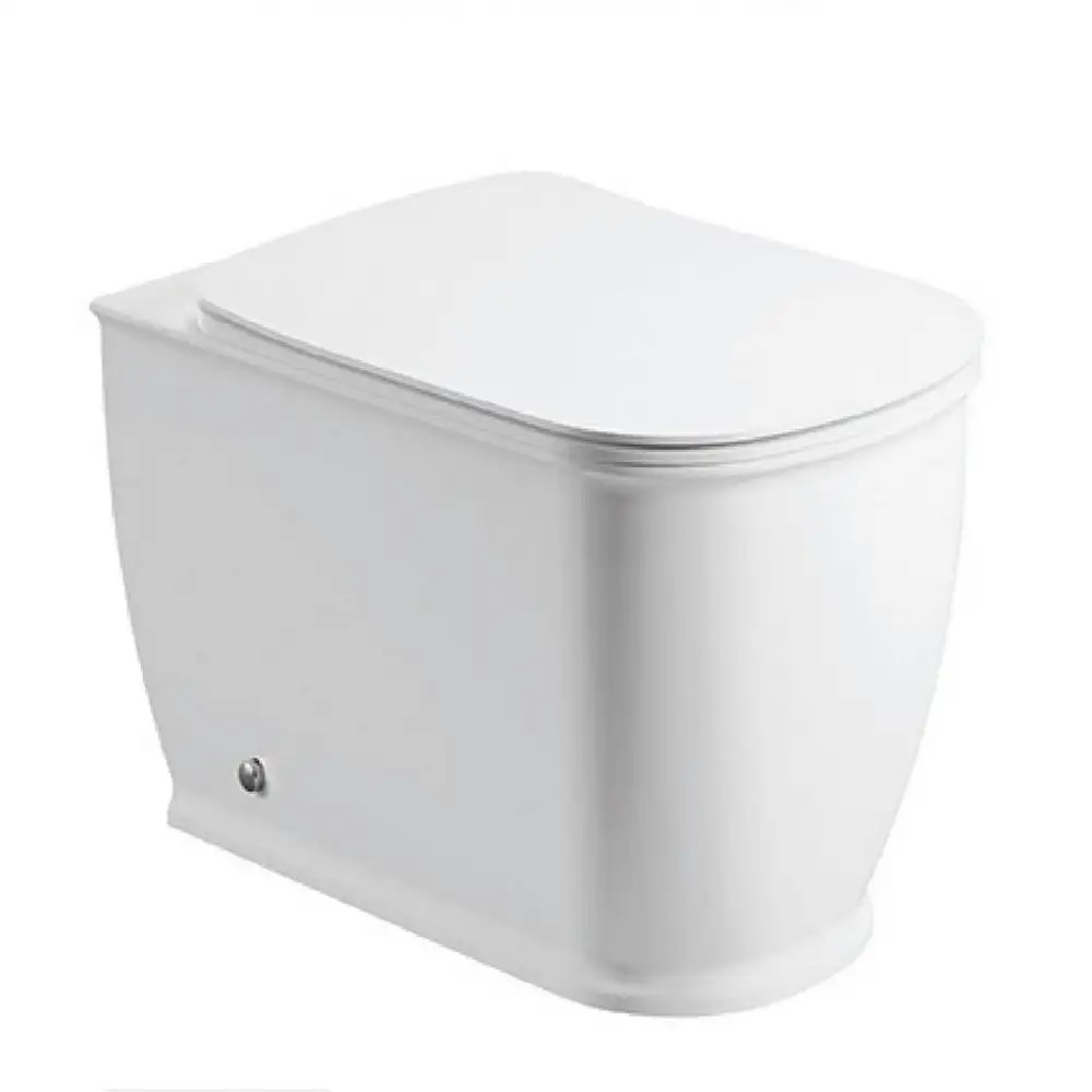 Vase de toaletă / WC