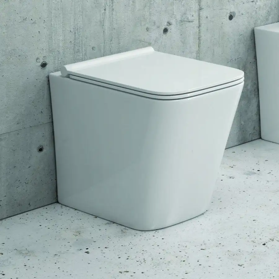 Vase de toaletă / WC