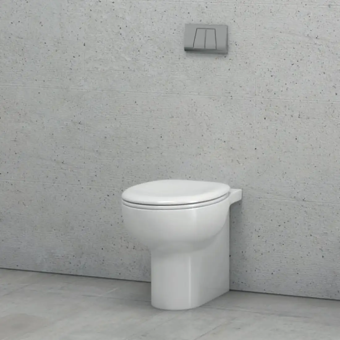 Vase de toaletă / WC